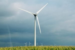 Wind turbine farm